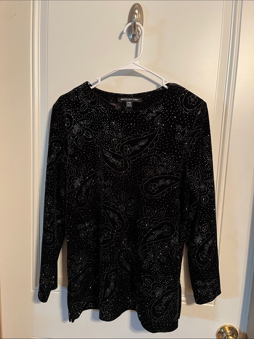 Briggs New York, sparkly blouse, PM